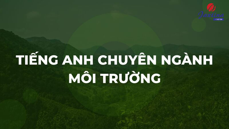 300+ từ vựng Tiếng Anh chuyên ngành môi trường thông dụng