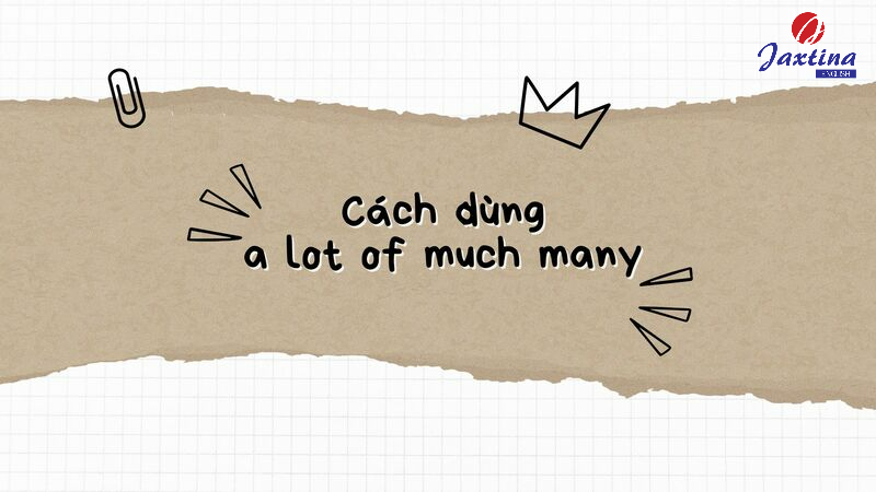 Cách dùng a lot of much many Cách dùng a lot of much many