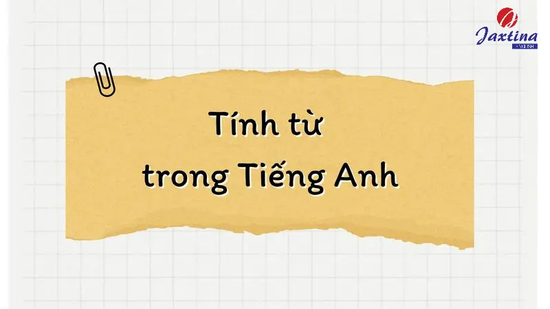 Tính từ trong Tiếng Anh (Adjective): Khái niệm và chức năng